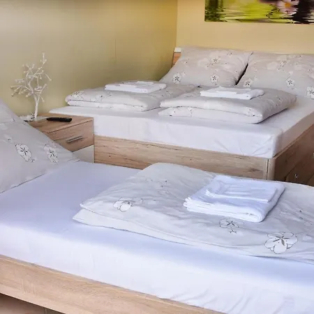 Guest house Molnar Vendeghaz