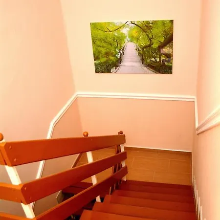 Molnar Vendeghaz בית הארחה Ujfeherto