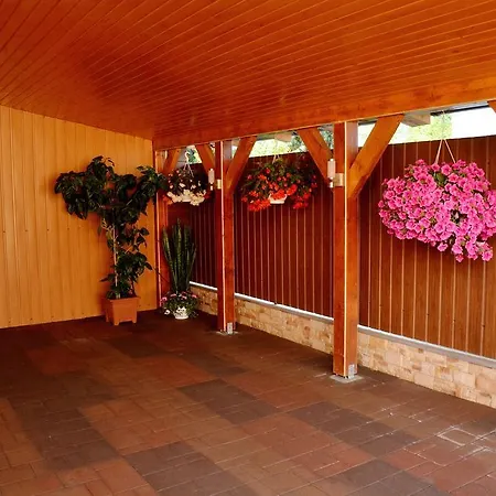 בית הארחה Molnar Vendeghaz 3*