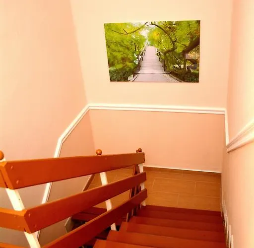 Molnar Vendeghaz بيت ضيافة Ujfeherto